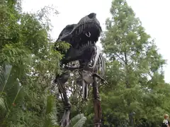 Dinosaur