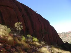 Kata Tjuta Wall