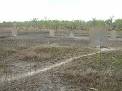 Magnetic Termite Mounds