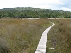 Tautuku Estuary