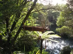 Maori Bird Trap