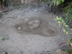 Mud Pool1