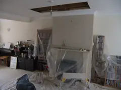 Ceiling Repair