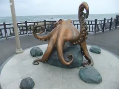 Homigot Octopus