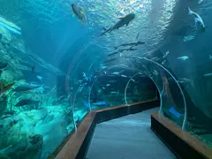 Aquarium3