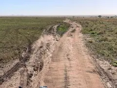 Serengeti Tracks