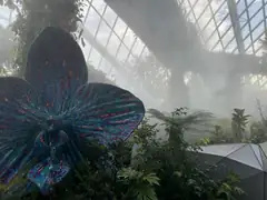 Singapore Cloud Forest