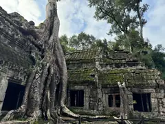 Ta Prohm