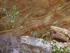 The rainbow serpent is a key dreamtime figure