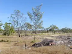 The Rock country
