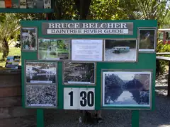 Daintree