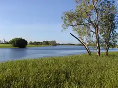 A view of the billabong we voyaged up and down