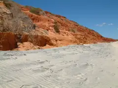 Shark Bay