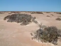 Australia 2003