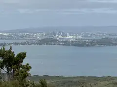 rangi_view.jpeg