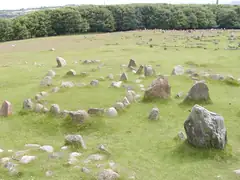 Viking burial field