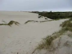 dune crossing Denmark