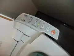 Controls on Tokyo hotel toilet seat
