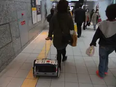 Woman with dog in Osaka underground