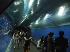 Kaiyukan Aquarium