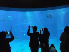 Kaiyukan Aquarium