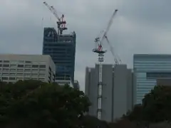 Tokyo grows skyward like a forest