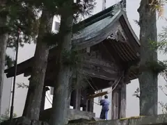 Ringing the bell at Toshugu Shrine in Nikko