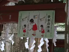 Ceremonial washing how to at Toshugu Shrine