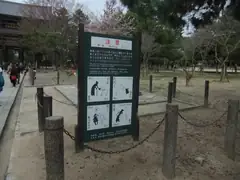 Beware the deer in Nara