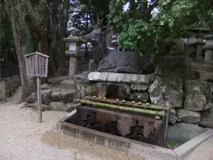 Ceremonial washing at Kasuga Taisha shrine