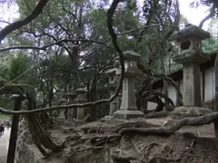 Some of the 3000 lanterns at Kasuga shrine