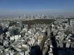 Views from Shibuya Sky