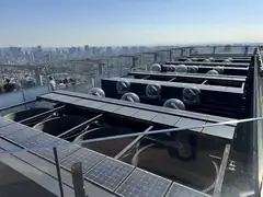 Top of Shibuya Sky