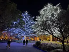 Illuminations