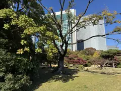 Hamarikyu Gardens