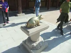 Touch the pig might make you rich
