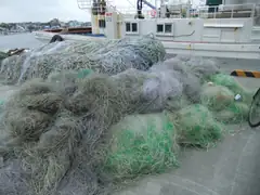 Fishing nets at Guryongpo