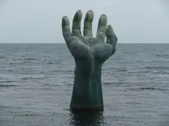 homigot_hand.jpg