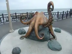 Octopus not for eating at Homigot