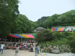 Nine dragons and the tiger's tail