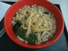 Udon and fried tofu