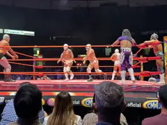 Lucha_Libre.jpeg