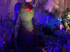 Pictures/Merida_display.jpeg