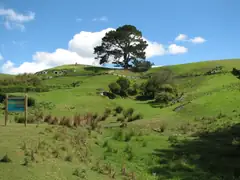 Matamata