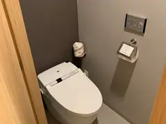 Toilet with control