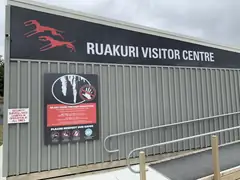 Ruakuri Cave