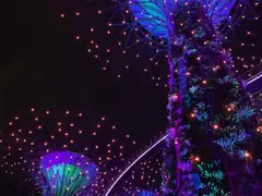 Supertree Grove light show