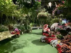 Floral Fantasy
