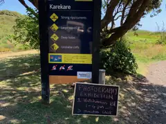 Kare Kare beach