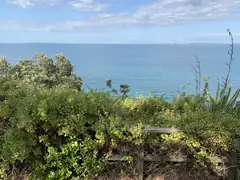 Murrays Bay area